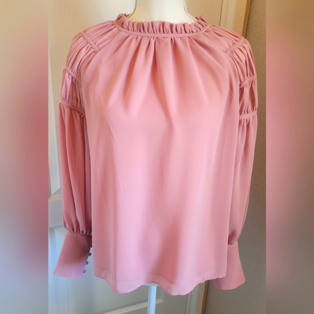 EUC ANN Taylor pink long sleeves shirt Size Small